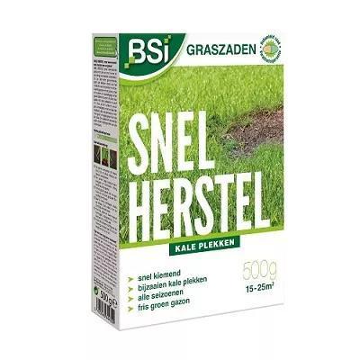 BSI Graszaad Snel Herstel zaaien al vanaf 4 graden!, Tuin en Terras, Gras en Kunstgras, Gras, Nieuw, Verzenden