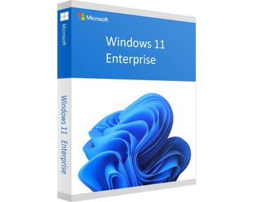 Windows 11 Enterprise - Direct Installeren - Digitaal