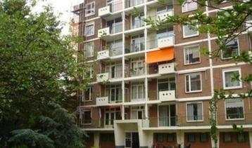 Te Huur 4 Kamer Appartement Ranonkelstraat In Den Haag