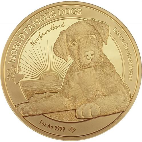 Gouden Kameroen - World Famous Dogs - Labrador - 1 oz 2023, Postzegels en Munten, Munten | Afrika, Losse munt, Goud, Overige landen