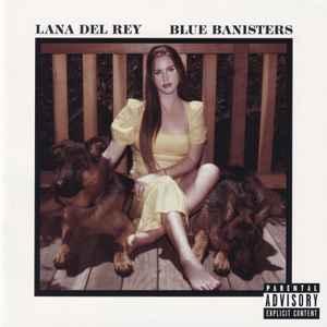 cd - Lana Del Rey - Blue Banisters, Cd's en Dvd's, Cd's | Rock, Verzenden