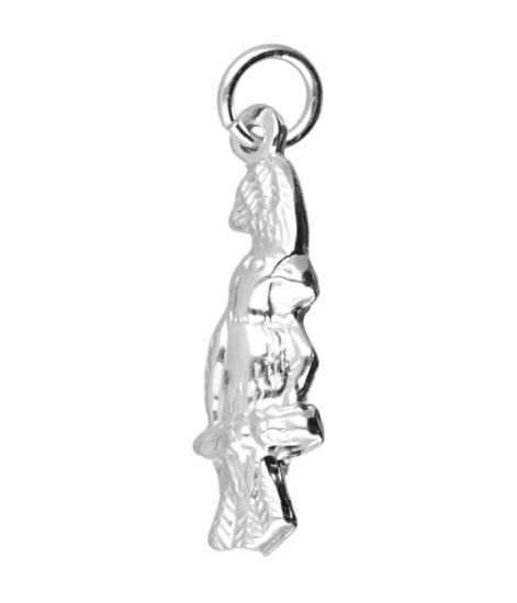 Zilveren Kakatoe ketting hanger, Sieraden, Tassen en Uiterlijk, Kettinghangers, Verzenden