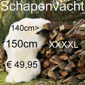 Schapenvacht XXXXL DE ALLER GROOTSTE schapenvel € 49,95