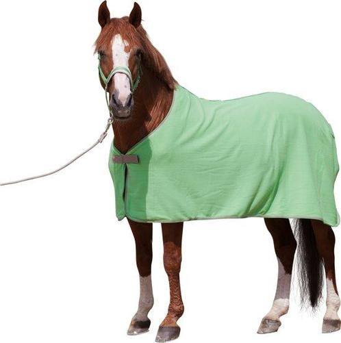 Kerbl Paardendeken Economic - groen - 155 cm, Dieren en Toebehoren, Paarden en Pony's | Overige Paardenspullen, Verzenden