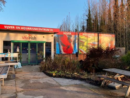 Aquarium vissen aquariumvissen aquariumplanten vivarium 2023, Dieren en Toebehoren, Vissen | Aquariumvissen, Overige typen, Zoetwatervis