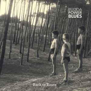 cd - Budda Power Blues - Back To Roots, Cd's en Dvd's, Cd's | Jazz en Blues, Verzenden
