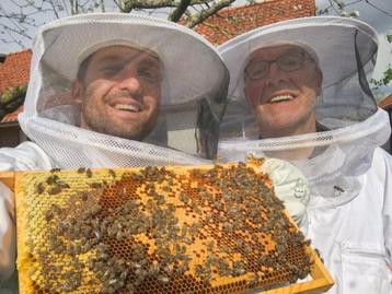 Bijen in Bijenkast met GRATIS Online Imker Cursus