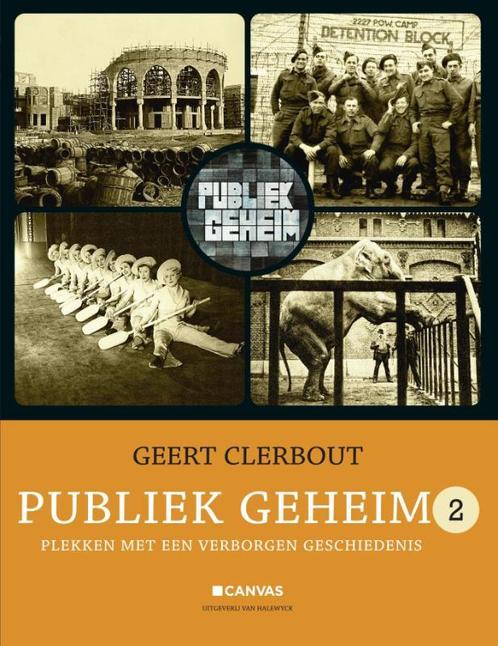 Publiek geheim 2 9789461311924 Geert Clerbout, Boeken, Geschiedenis | Wereld, Gelezen, Verzenden