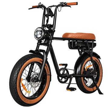 EB2 Elektrische Fatbike – 250W – 18.2Ah – 20 inch – Bruin