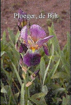 Iris germanica, blauwe duitse lis, Tuin en Terras, Planten | Tuinplanten, Vaste plant, Volle zon, Zomer, Ophalen of Verzenden