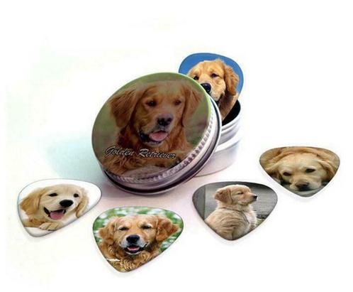 Blikje of display + plectrums van Golden Retriever hond, Verzamelen, Overige Verzamelen, Nieuw, Ophalen of Verzenden