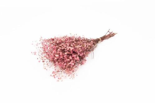 Gepreserveerd Gips Gipskruid Berry Roze 60cm. 55gr, Hobby en Vrije tijd, Knutselen, Nieuw, Ophalen of Verzenden