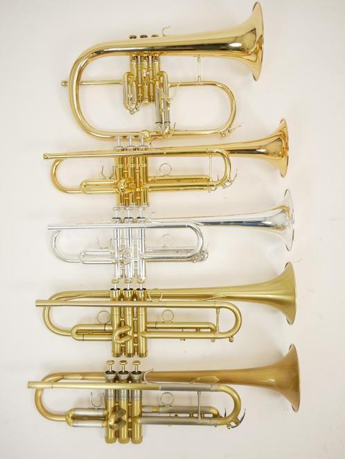 Exclusieve Trompetten en Bugel bij Van der Glas Heerenveen, Muziek en Instrumenten, Blaasinstrumenten | Trompetten, Bes-trompet