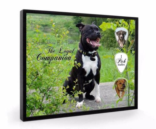 Staffordshire Bull Terrier hond plectrumdisplay, Verzamelen, Dierenverzamelingen, Overige typen, Nieuw, Hond of Kat, Ophalen of Verzenden