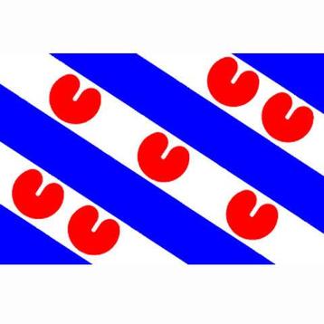 Friese vlag, vlag provincie Friesland