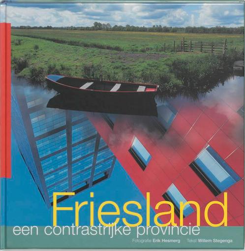 Friesland een contrastrijke provincie 9789033011665, Boeken, Geschiedenis | Stad en Regio, Gelezen, Verzenden