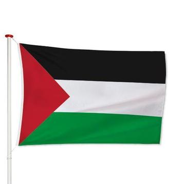 Palestijnse Vlag 40x60cm