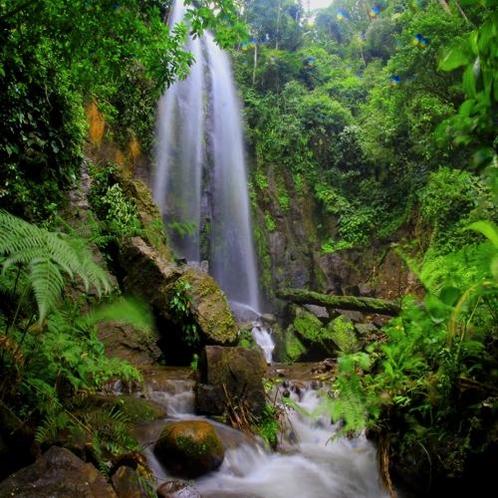 Pvc Wanddoek Jungle Waterfall 2x2mtr, Tuin en Terras, Tuinwanddecoratie, Nieuw, Verzenden
