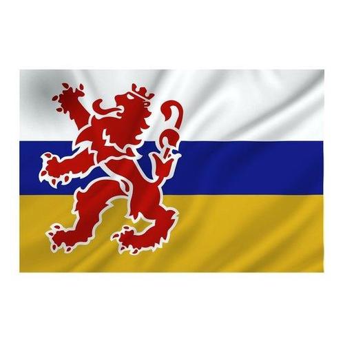 Limburgse vlag provincie Limburg, Diversen, Vlaggen en Wimpels, Verzenden