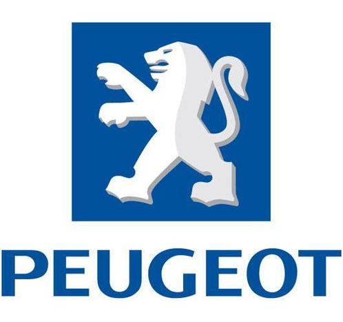 Nieuwe Voorruit Peugeot Origineel va €99,-, Auto-onderdelen, Ruiten en Toebehoren, Nieuw, Peugeot