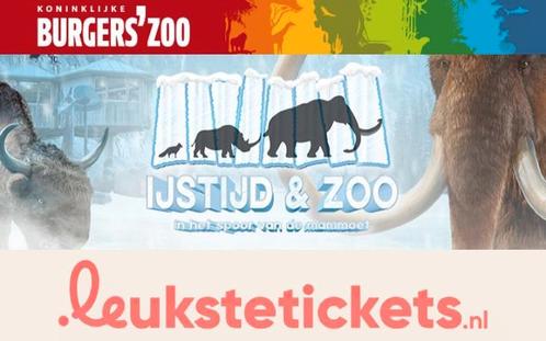 Koninklijke Burgers Zoo nu voor €26,50 per ticket!, Tickets en Kaartjes, Recreatie | Dierentuinen