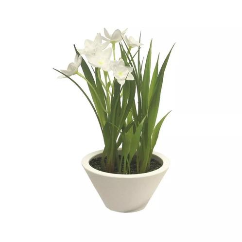 Narcis met witte pot creme 18cm, Huis en Inrichting, Woonaccessoires | Kunstplanten en Kunstbloemen, Nieuw, Ophalen of Verzenden