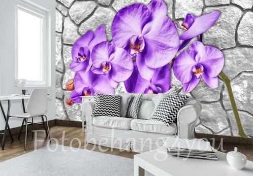 Orchidee op steen fotobehang, bloemen op muur behang, Huis en Inrichting, Stoffering | Behang, Ophalen of Verzenden