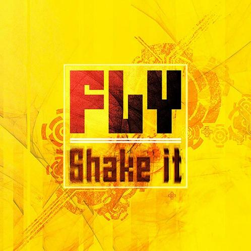 Fly - Shake it (Vinyls), Cd's en Dvd's, Vinyl | Dance en House, Techno of Trance, Verzenden