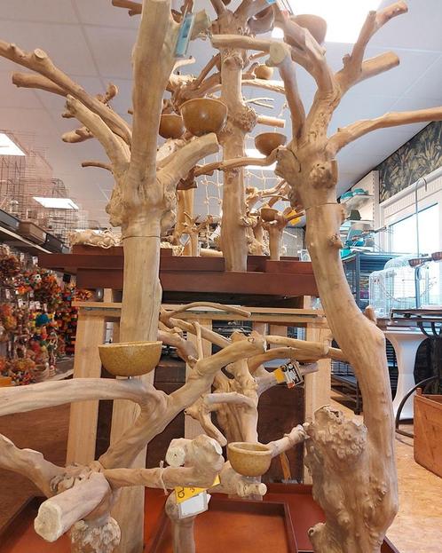 Java bomen en Java playstands op voorraad in de winkel, Dieren en Toebehoren, Vogels | Toebehoren, Speelgoed, Nieuw, Ophalen of Verzenden