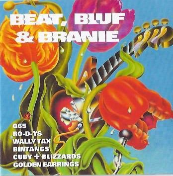 cd - Various - Beat, Bluf &amp; Branie, Cd's en Dvd's, Cd's | Rock, Zo goed als nieuw, Verzenden