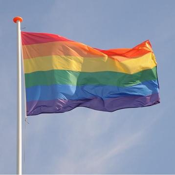Regenboog LGBTQ vlag pride rainbow flag vlaggen XL 90x150cm