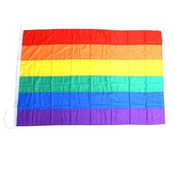Gay pride regenboog vlag groot