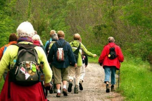 Wandelen in Hongarije in uniek Natuurpark (Koppanyvolgy), Vakantie, Vakantie | Sportief en Actief