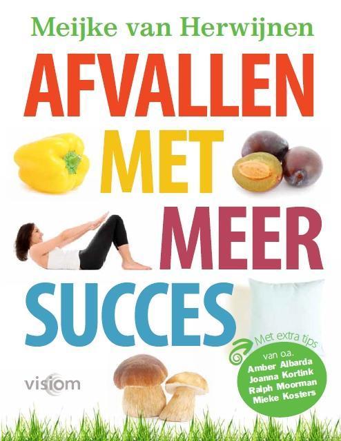 Afvallen met meer succes 9789082140309 Meijke van Herwijnen, Boeken, Gezondheid, Dieet en Voeding, Gelezen, Verzenden