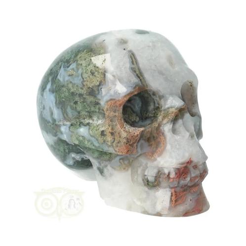 Mosagaat - Bergkristal geode schedel Nr 280 - 742 gram, Sieraden, Tassen en Uiterlijk, Edelstenen, Nieuw, Verzenden