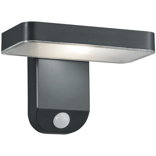 LED Solar Tuinverlichting - Wandlamp - Trion Escarino -, Tuin en Terras, Buitenverlichting, Hanglamp, Nieuw, Led, Kunststof, Ophalen of Verzenden