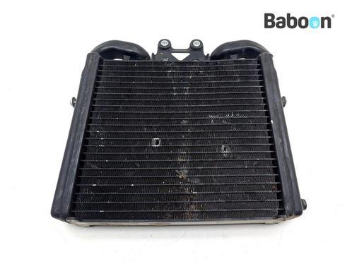 Radiateur Harley-Davidson VRSCA V-Rod 2002-2006, Motoren, Onderdelen | Harley-Davidson, Gebruikt, Verzenden