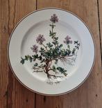 Villeroy & Boch - Bord (6) - Botanica - Porselein