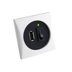 Batsystem USB inbouw stopcontact 12 of 24 Volt-Chroom, Watersport en Boten, Nieuw, Ophalen of Verzenden