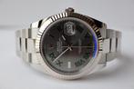 Rolex Datejust 41MM Wimbledon 07/2022 Full set, Ongedragen, Staal, Polshorloge, Nieuw, Ophalen of Verzenden