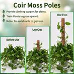 Mosstok kokosstok planten totem 50 cm / stuk opbinden van, Ophalen of Verzenden, Nieuw