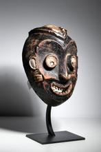Uitzonderlijk masker - Pende - DR Congo