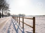 Paddock | Weide & afrastering | Incl. poort, palen, planken, Weidegang, 4 paarden of pony's of meer