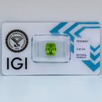 1 pcs Groen, Geel Olivijn - 3.32 ct - International, Nieuw