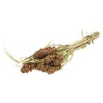 Sorghum SB natural green  Sorghum SB  aren pluimen, Ophalen of Verzenden, Nieuw