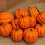 Gills Golden Pippin pompoenzaden, Ophalen of Verzenden, Nieuw