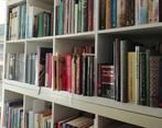 Vele Engelse boeken te koop, Boeken, Taal | Engels, Gelezen, Ophalen of Verzenden