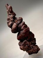 Perfect gevormde fossiel ontlasting - Fossiel fragment -