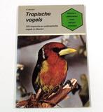 Tropische vogels 9789003945501 Bechtel, Boeken, Dieren en Huisdieren, Gelezen, Bechtel, Verzenden