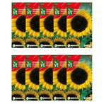 Bloemzaden zonnebloem | VT | 10 stuks, Verzenden